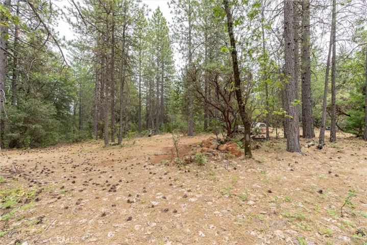 15184 Siwini Road, Forest Ranch, California 95942