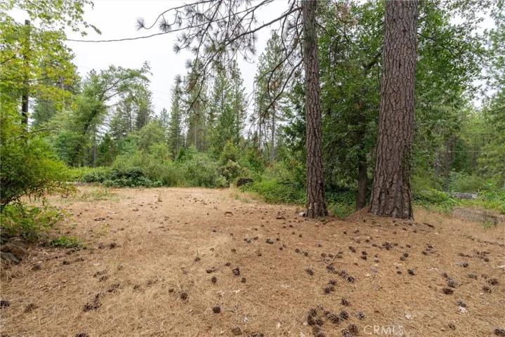 15184 Siwini Road, Forest Ranch, California 95942