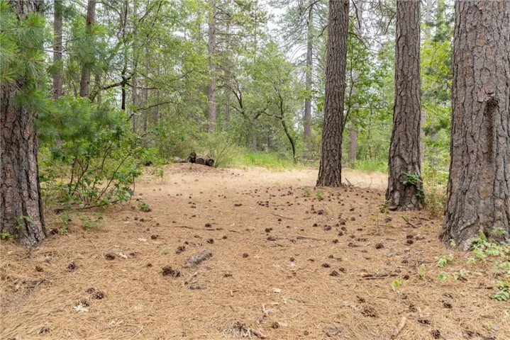 15184 Siwini Road, Forest Ranch, California 95942