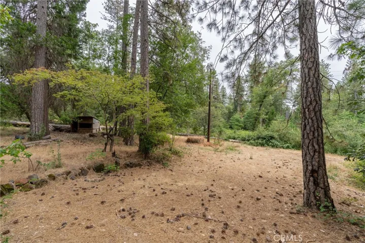 15184 Siwini Road, Forest Ranch, California 95942