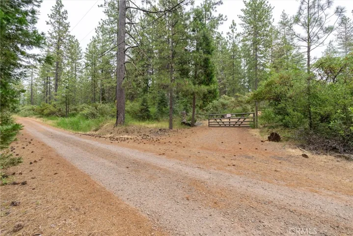 15184 Siwini Road, Forest Ranch, California 95942