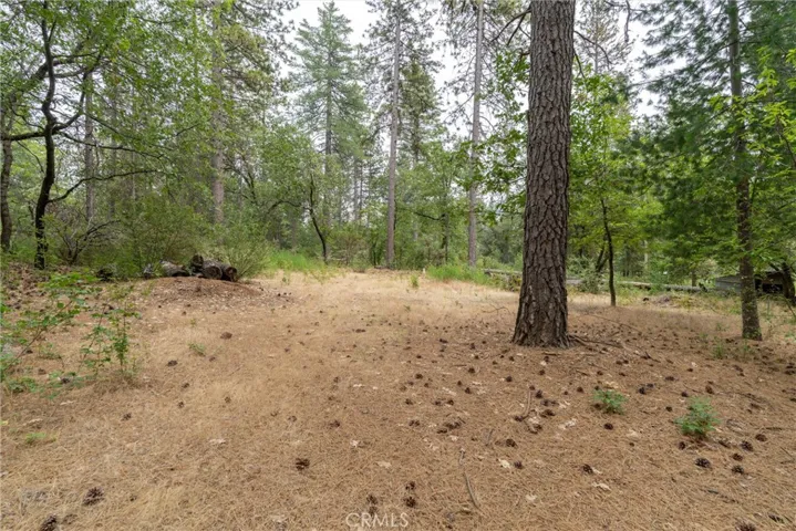 15184 Siwini Road, Forest Ranch, California 95942