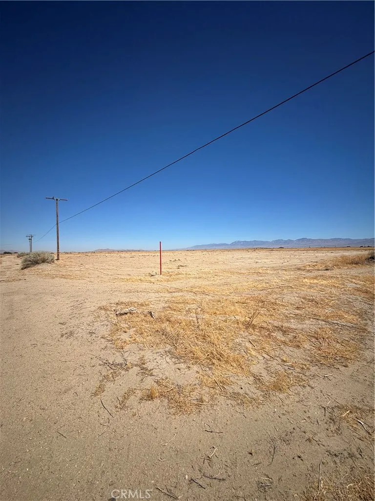 gallery-image 4