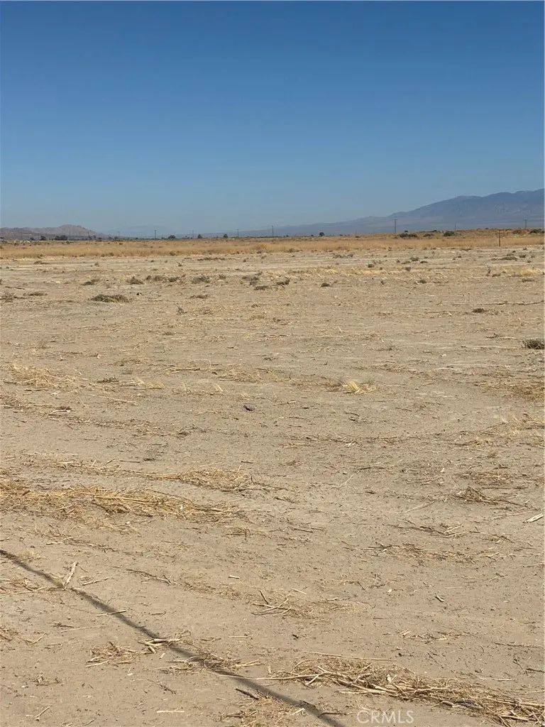 gallery-image 3