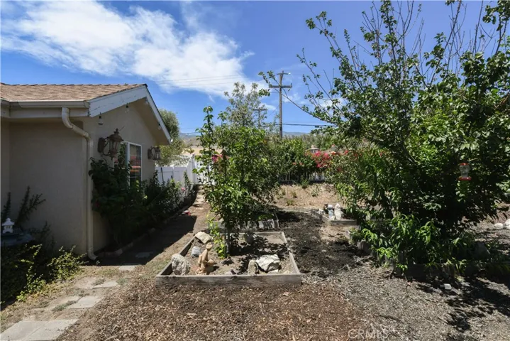 Side Yard
