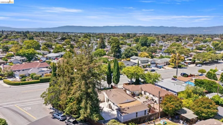 Residential neighborhood with established trees and mountain backdrop
