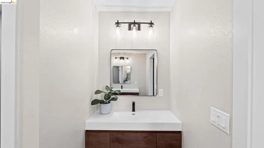 Modern vanity featuring a rectangular sink, integrated white countertop, and dark wood-finish cabinetry