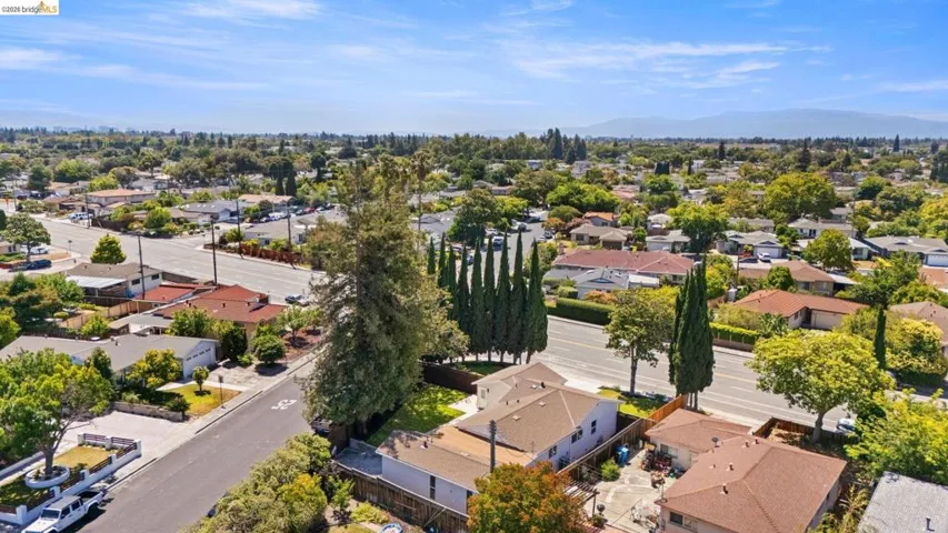 Residential neighborhood featuring mature trees and a clear sky