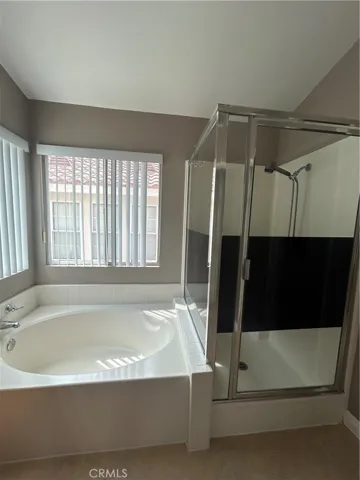 Master Bathroom 3
