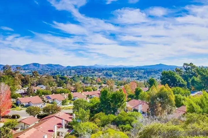 1874 Forestdale, Encinitas, California 92024