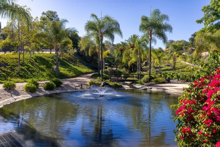 1973 Buckskin, Escondido, California 92025