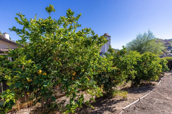 1973 Buckskin, Escondido, California 92025