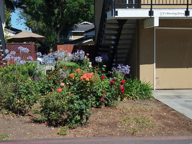 771 Warring Drive 2, San Jose, California 95123