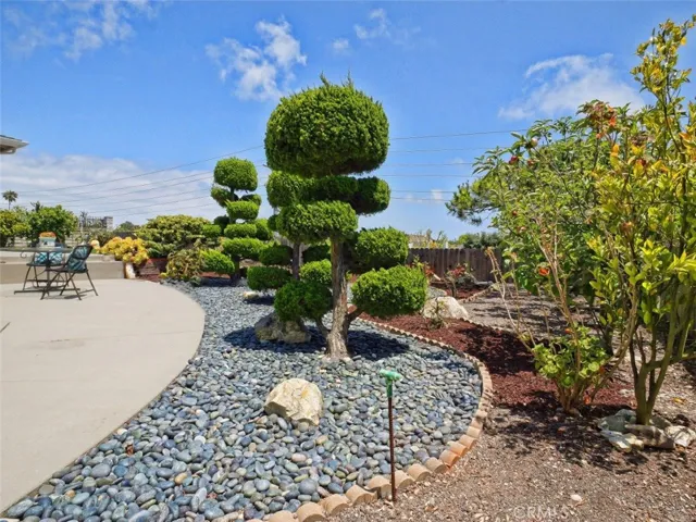 Mature Trees