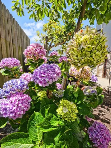 Stunning Florals