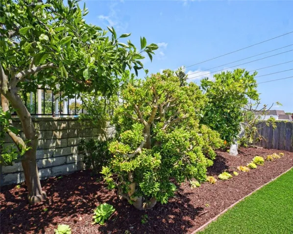 Bearing Fruit Trees