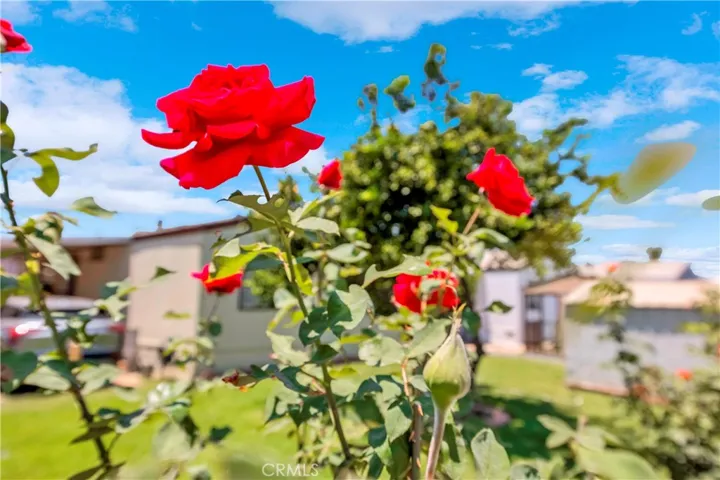 1855 E Riverside 1, Ontario, California 91761