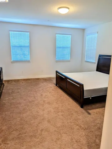 Spacious room featuring plush carpeting, three rectangular windows with blinds, a flush-mount ceiling light, and neutral wall tones