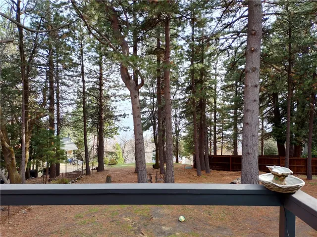 31083 All View Drive, Running Springs, California 92382