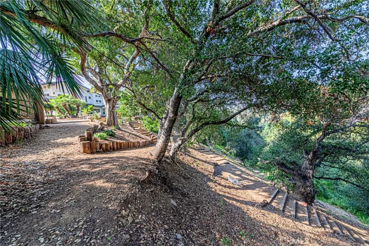 Serene park-like backyard setting surrounded by natural beauty