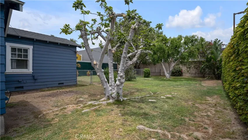 207 W Buffalo Avenue, Santa Ana, California 92706