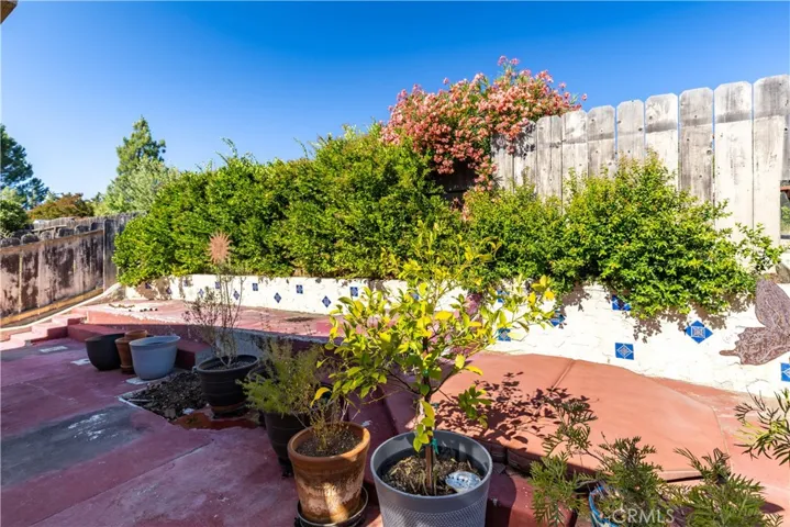 back yard area