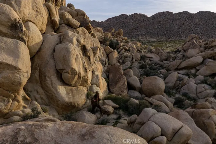 63251 Chickasaw Road, Joshua Tree, California 92252