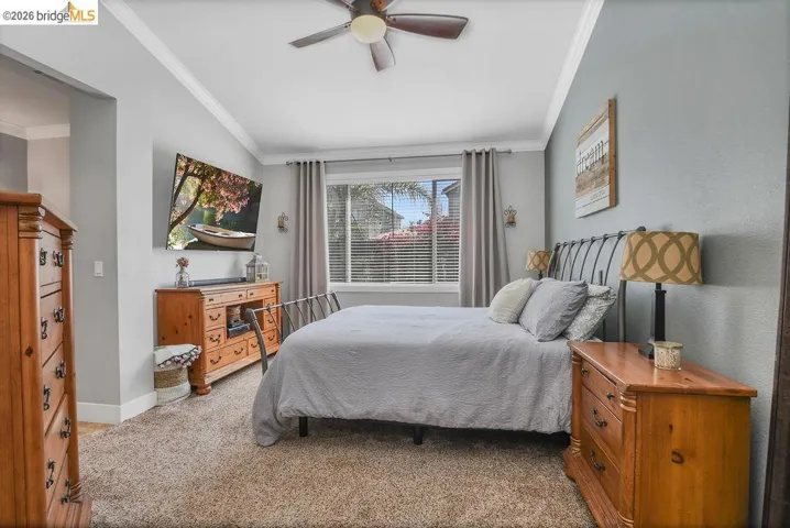 Carpeted bedroom featuring a ceiling fan, crown molding, a window with blinds and drapes, and sconce lighting