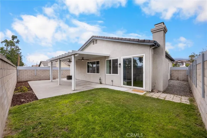 Backyard with grassy area