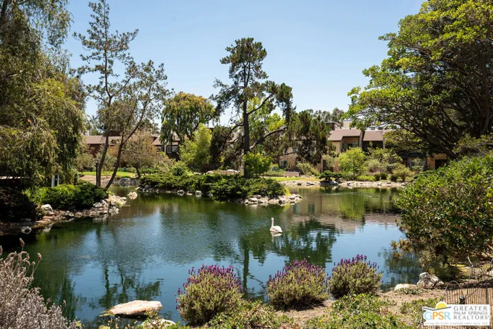 Pond by Club House