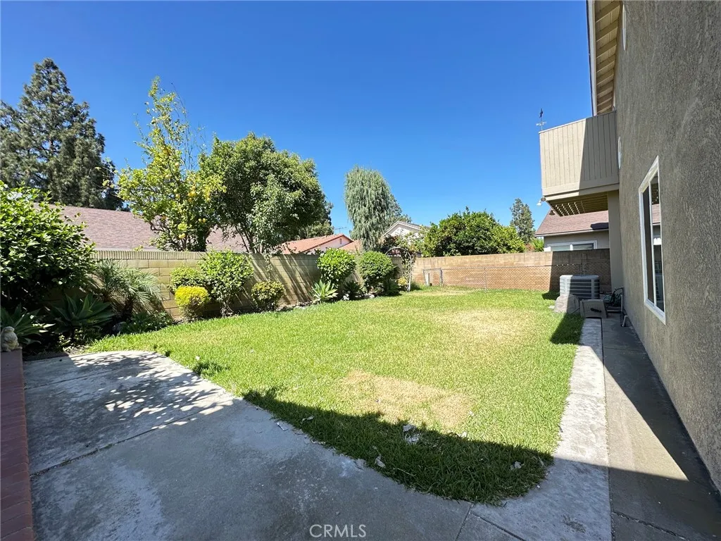 Back yard