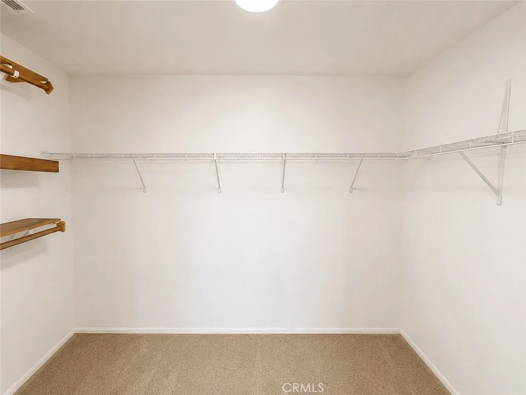 Master Closet Connected to Master Bathroom(Picture is AI Enhanced)