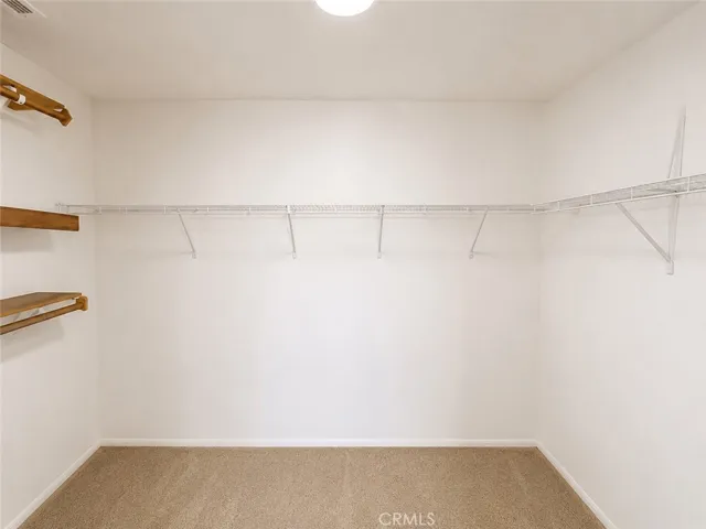 Master Closet Connected to Master Bathroom(Picture is AI Enhanced)