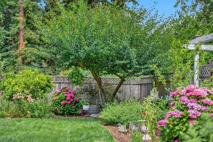 6476 Cooper Street, Felton, California 95018