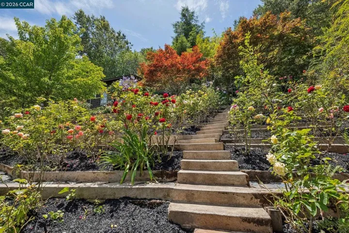 6 Monte Vista Rd, Orinda, California 94563