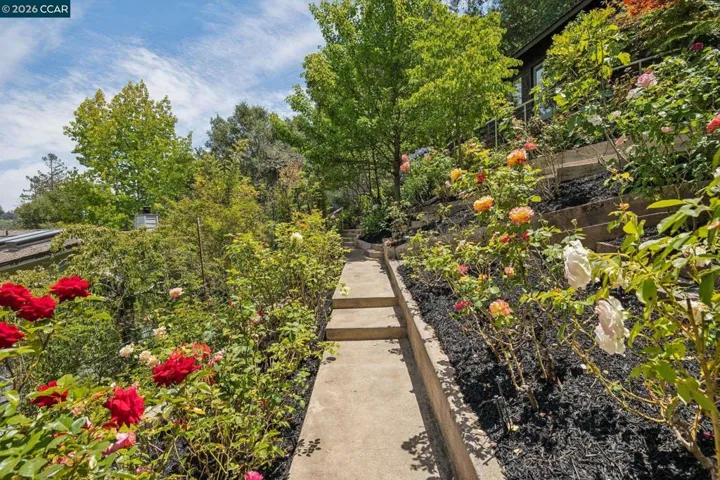6 Monte Vista Rd, Orinda, California 94563