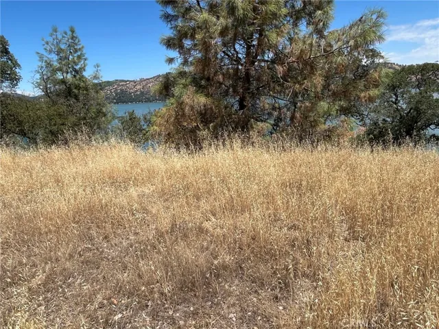 11480 North, Clearlake, California 95422