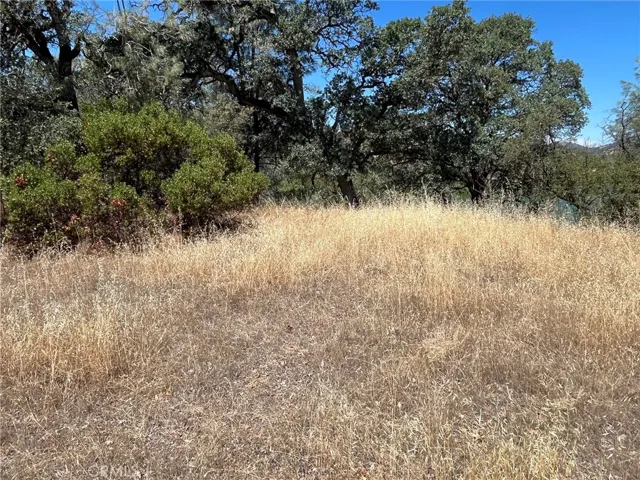 11480 North, Clearlake, California 95422