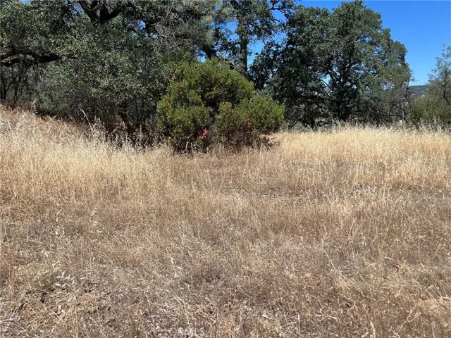 11480 North, Clearlake, California 95422