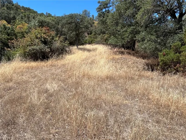 11480 North, Clearlake, California 95422