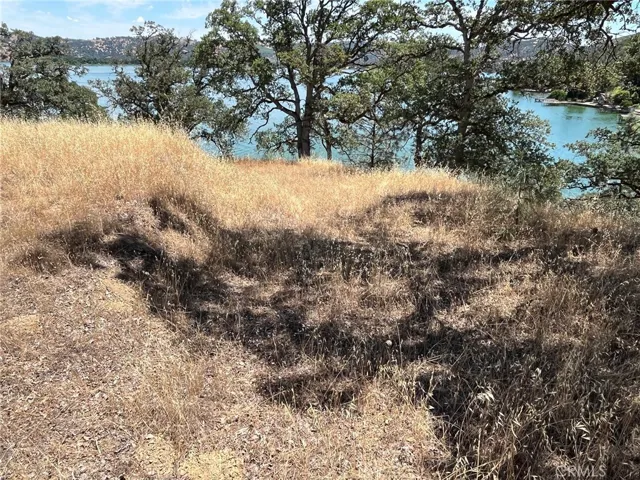 11480 North, Clearlake, California 95422