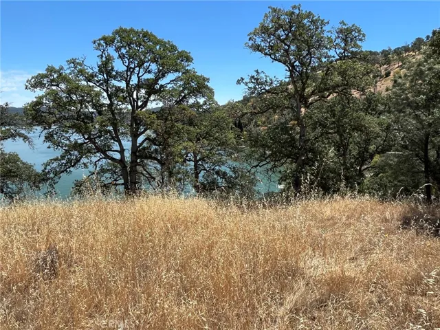 11480 North, Clearlake, California 95422