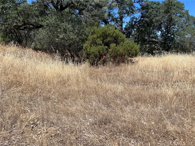 11480 North, Clearlake, California 95422