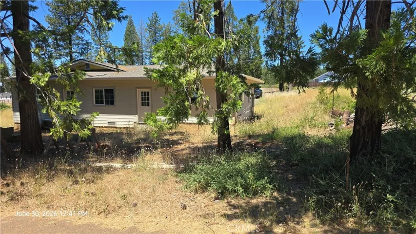 Backyard from golf course