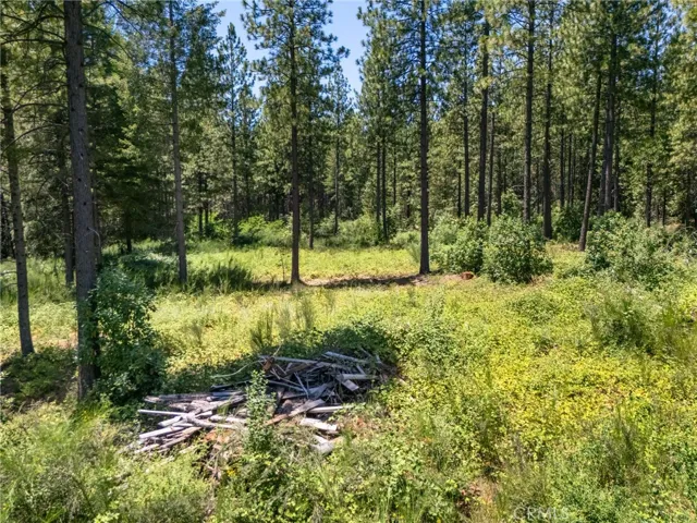 0 Old Forbestown Road, Forbestown, California 95941