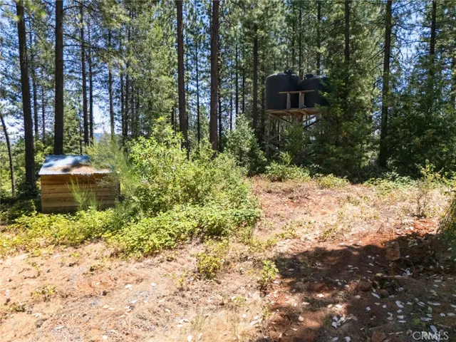 0 Old Forbestown Road, Forbestown, California 95941