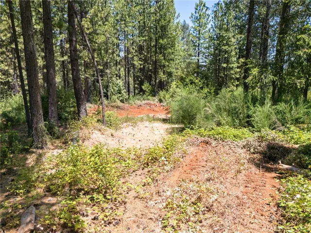 0 Old Forbestown Road, Forbestown, California 95941