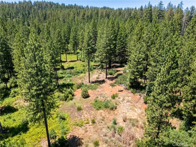 0 Old Forbestown Road, Forbestown, California 95941