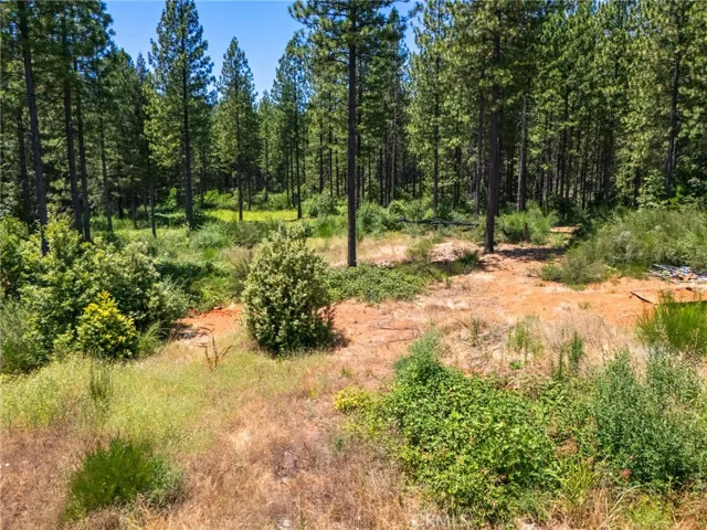 0 Old Forbestown Road, Forbestown, California 95941