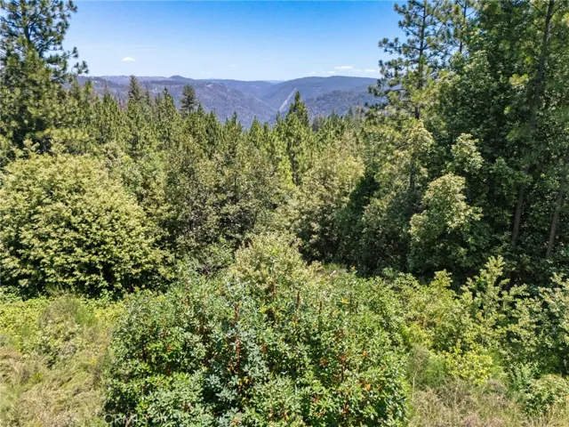 0 Old Forbestown Road, Forbestown, California 95941